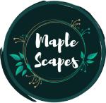 maple - scapes